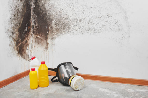 Best Residential Mold Removal  in Cowarts, AL