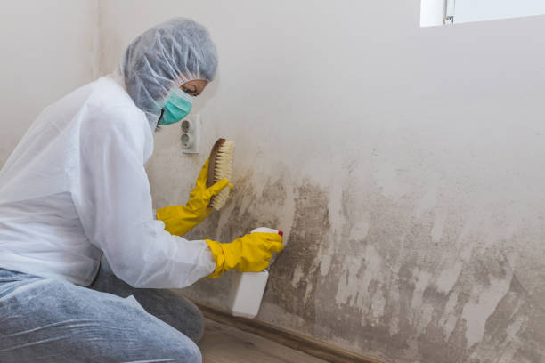Best Mold Removal and Inspection  in Cowarts, AL