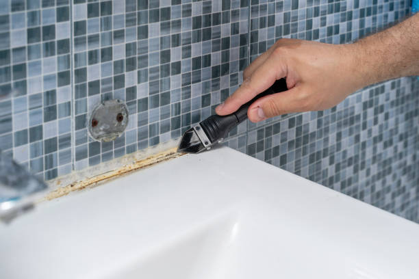 Best Mold Inspection  in Cowarts, AL
