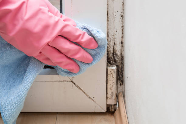 Best Crawl Space Mold Removal  in Cowarts, AL