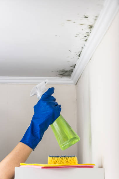 Best Professional Mold Removal  in Cowarts, AL